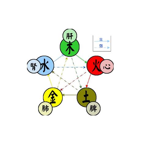 火 金 五行|五行（对万事万物的取象比类）